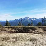 Zeitlos ゲストハウス 3*