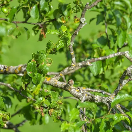 Zeitlos Guest house Wagrain