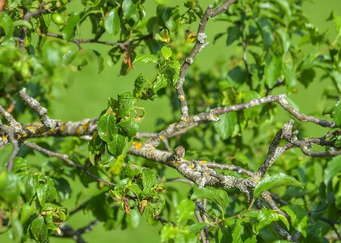 Zeitlos Penzion Wagrain