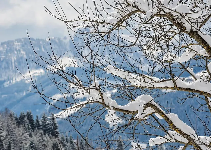 Zeitlos Guest house Wagrain